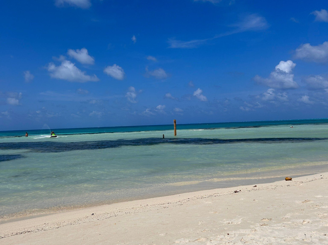 Visit Dhiffushi-Dhiffushi Island必去景点