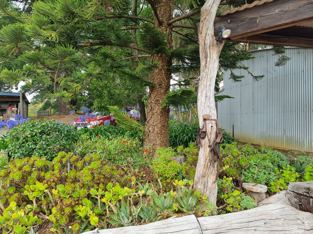 Magpie Springs - Winery, Cellar Door and Art Gallery景点图片