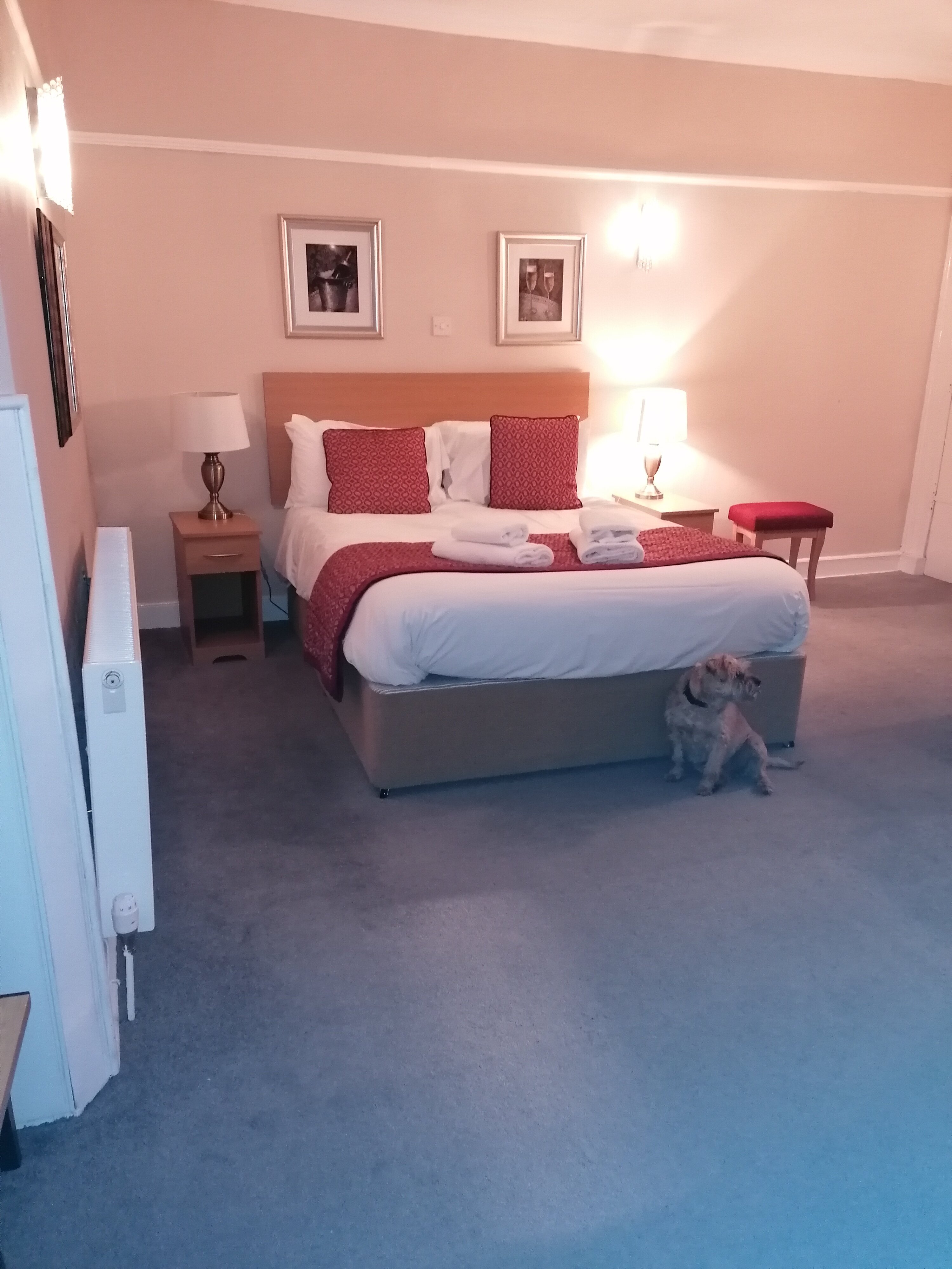 The Golden Lion Hotel-官方