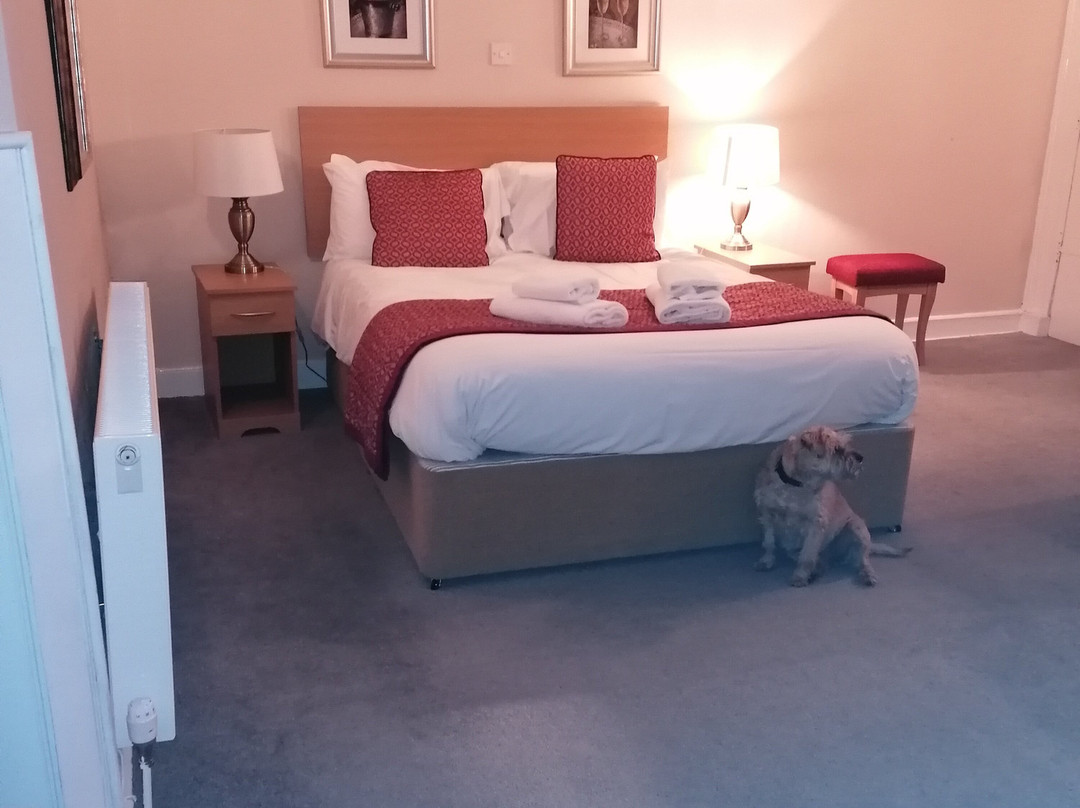 The Golden Lion Hotel主图