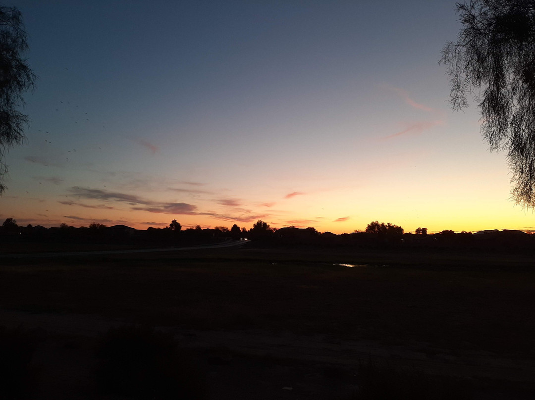 Jane Askew Memorial Park-Maricopa必去景点