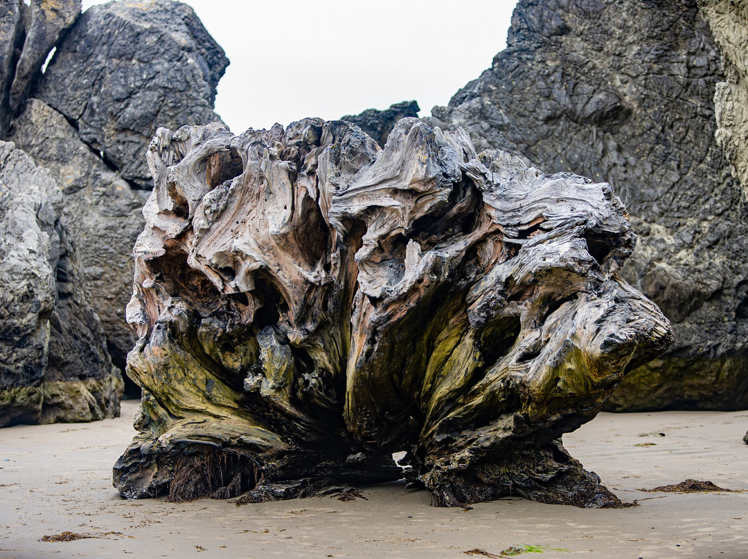 Bandon State Park-班登必去景点