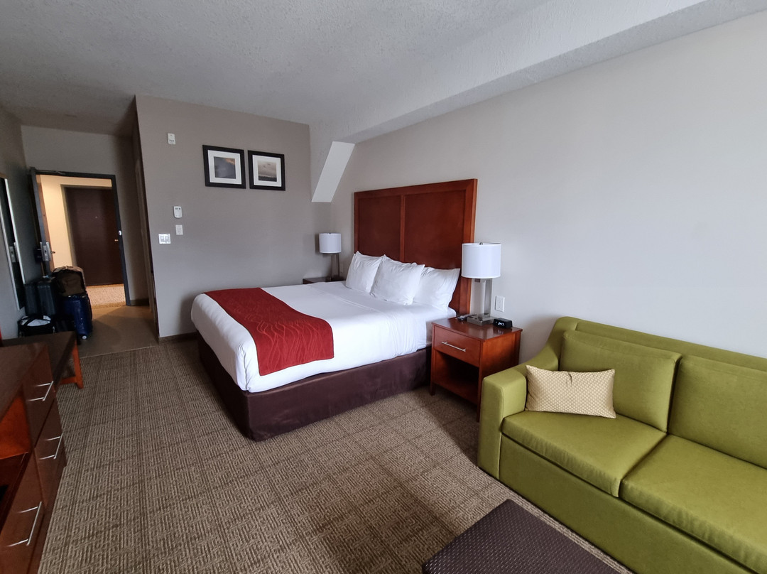 Comfort Inn & Suites主图