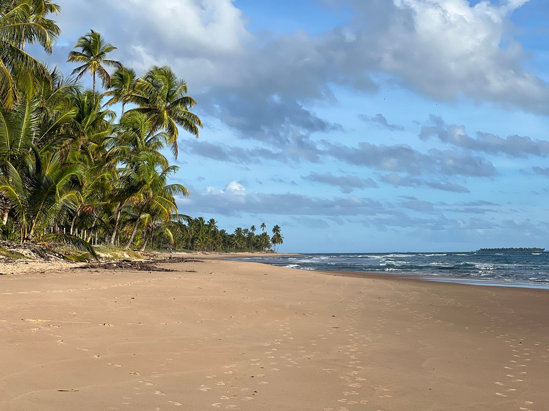 Pousada Tortuga主图