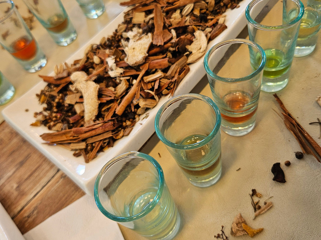 Gin Eternal-Potrero de los Funes必去景点