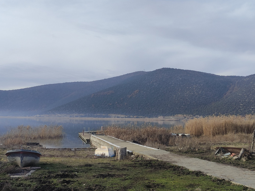Agios Achillios island景点图片