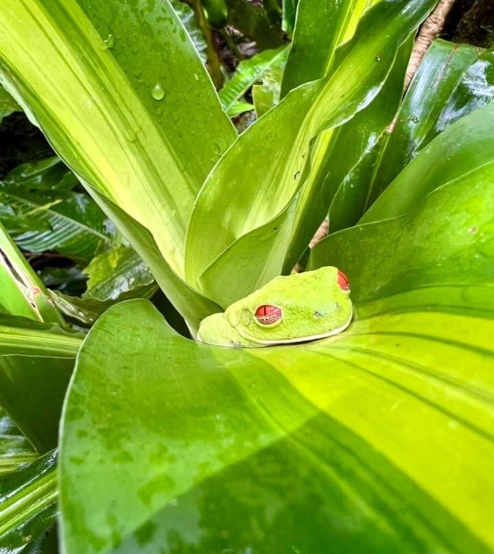 Costa Rica Best Tours景点图片