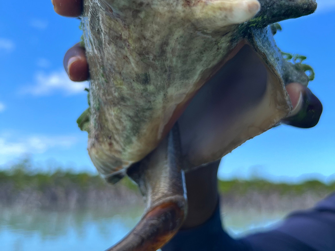 Turks Ventures by Drex-普罗维登西亚莱斯必去景点