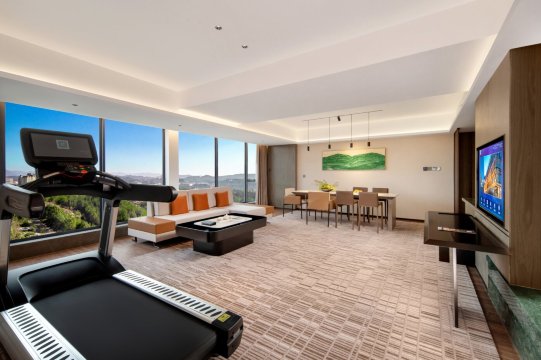 温州嘉美湖千禧度假酒店-客卧