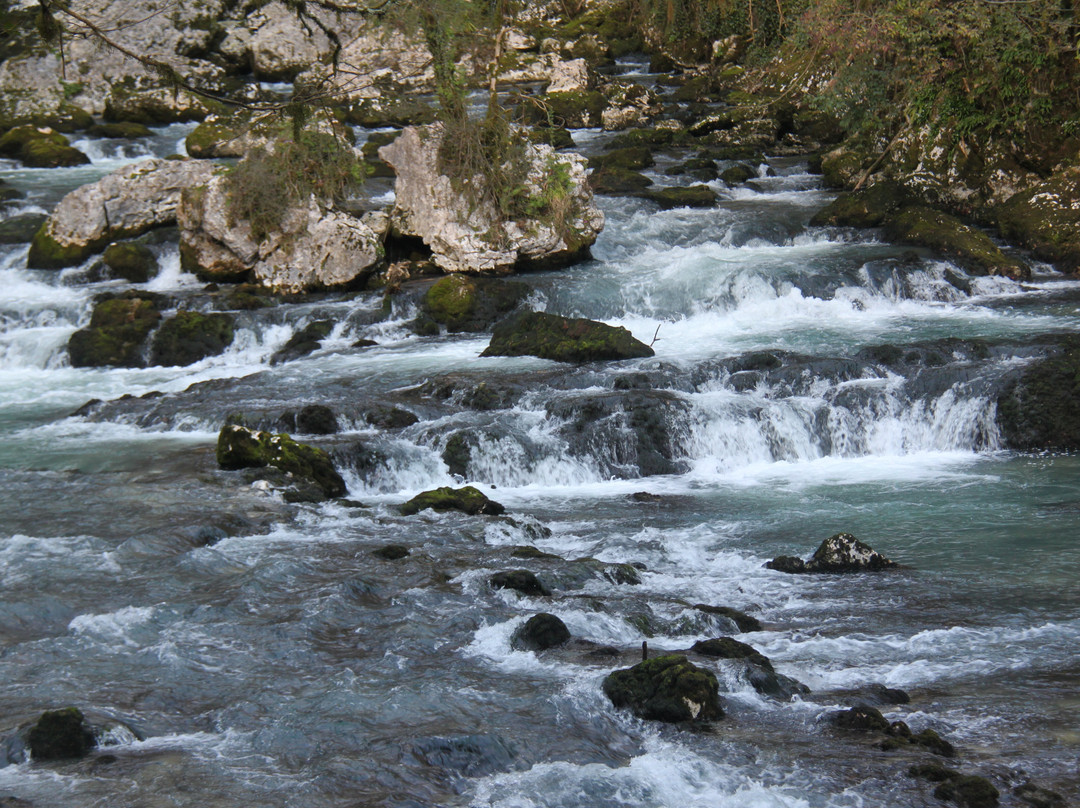 Trout Farm Chernorechenskoye-Gudaut'a必去景点