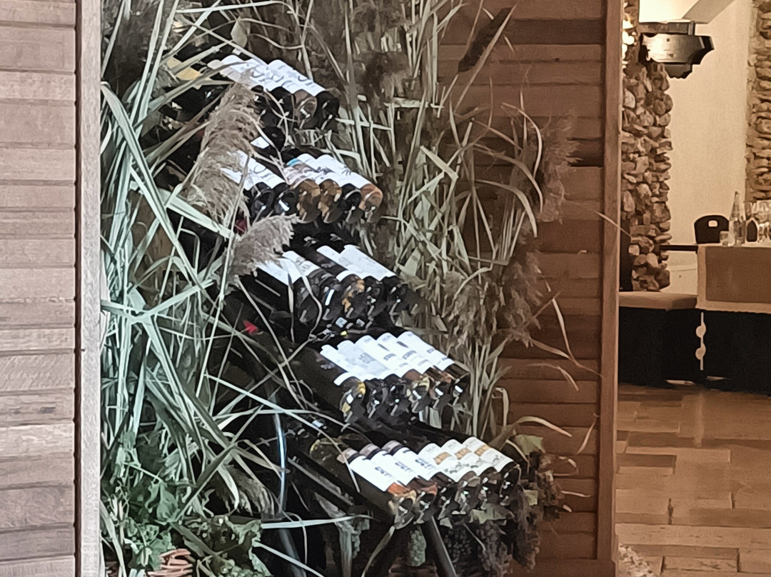 Murfatlar Winery-Murfatlar必去景点