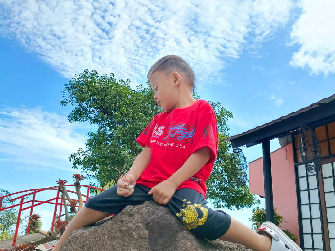 茵那树饭店主图