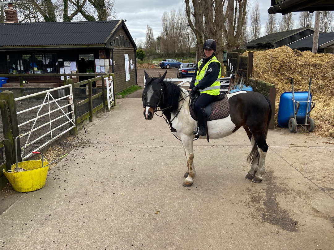 Pakefield Riding School-洛斯托夫特瓷必去景点