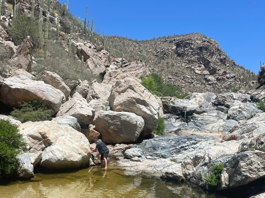 Tanque Verde Falls-图森必去景点