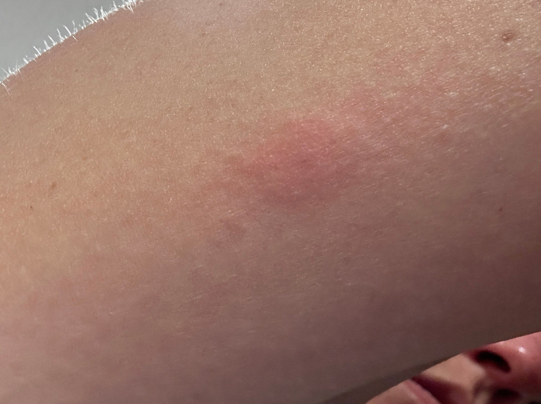 Hampton Inn Medina主图