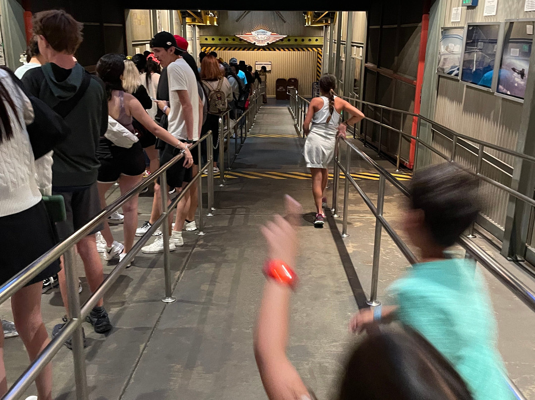 Elite Orlando VIP Tours-奥兰多必去景点