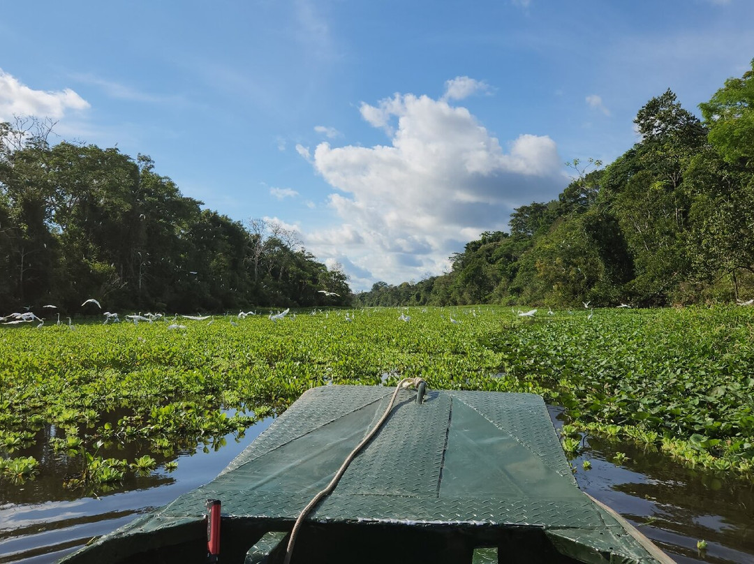 Muyuna Amazon Lodge Experience景点图片