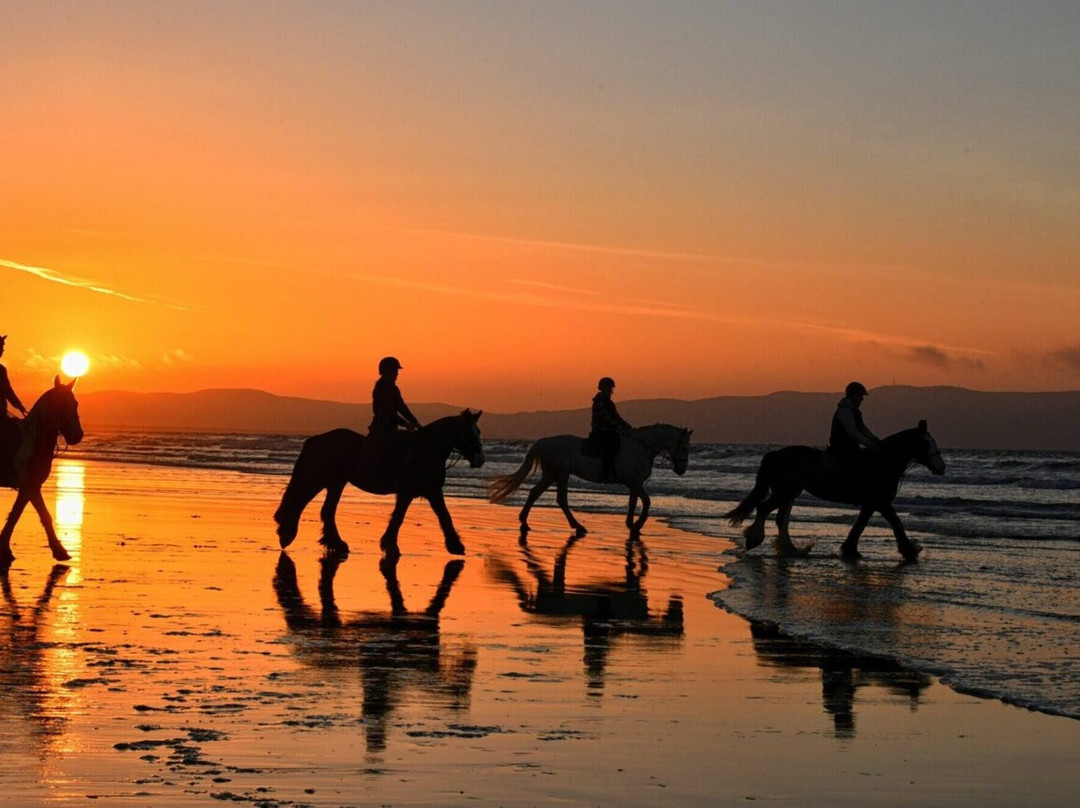 Amodou cheval Tamraght