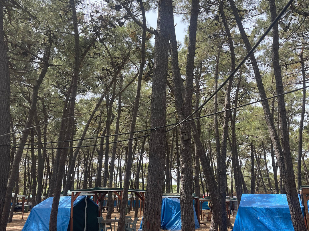 Erikli Camping