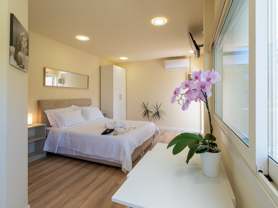 Modular Bungalows主图