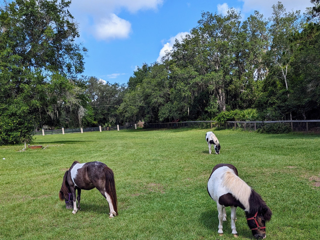 Cheyne Ranch, Inc.-Oviedo必去景点