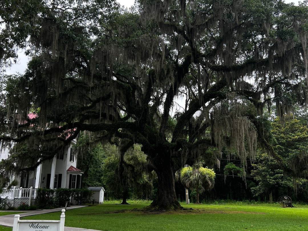 Frampton Plantation House景点图片