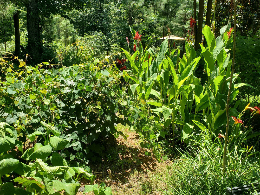 Wellborn Winery-Travelers Rest必去景点