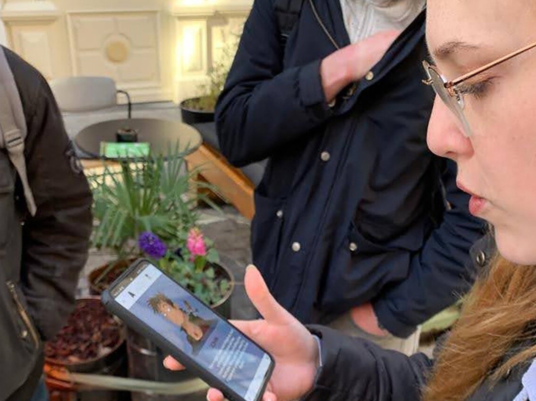 City Game Cairns-凯恩斯必去景点