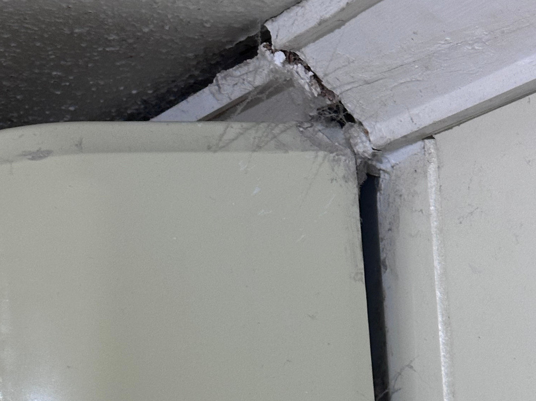 Country Plaza Motor Inn主图