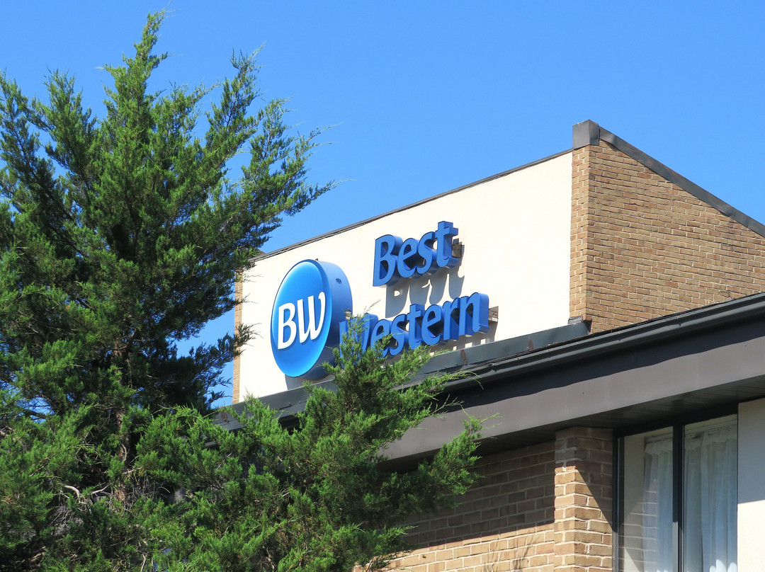 贝斯特韦斯特马纳萨斯酒店主图