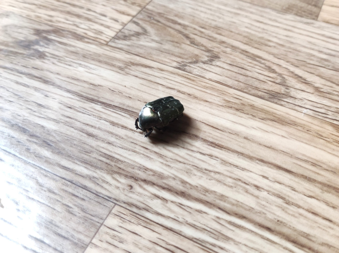 贝舍尔城堡酒店主图