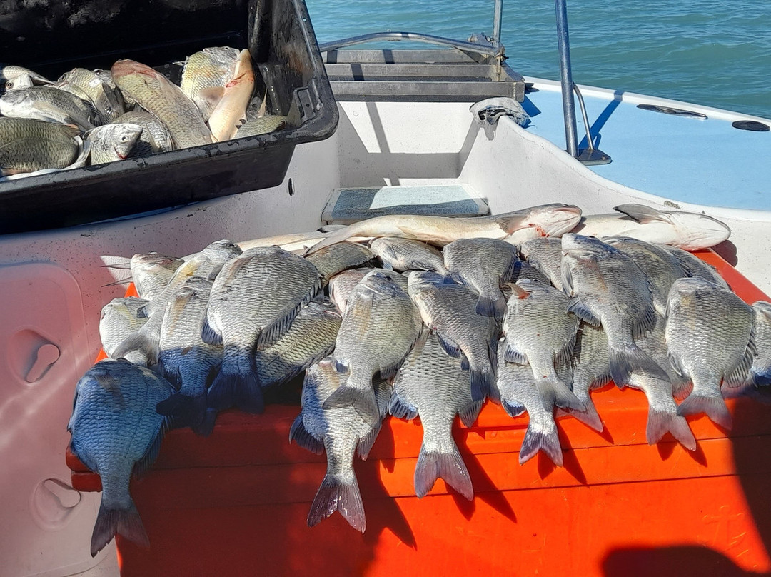 Mick's Fishing Adventures Karumba-Karumba必去景点