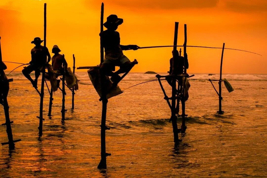 Kavee Tours Sri Lanka