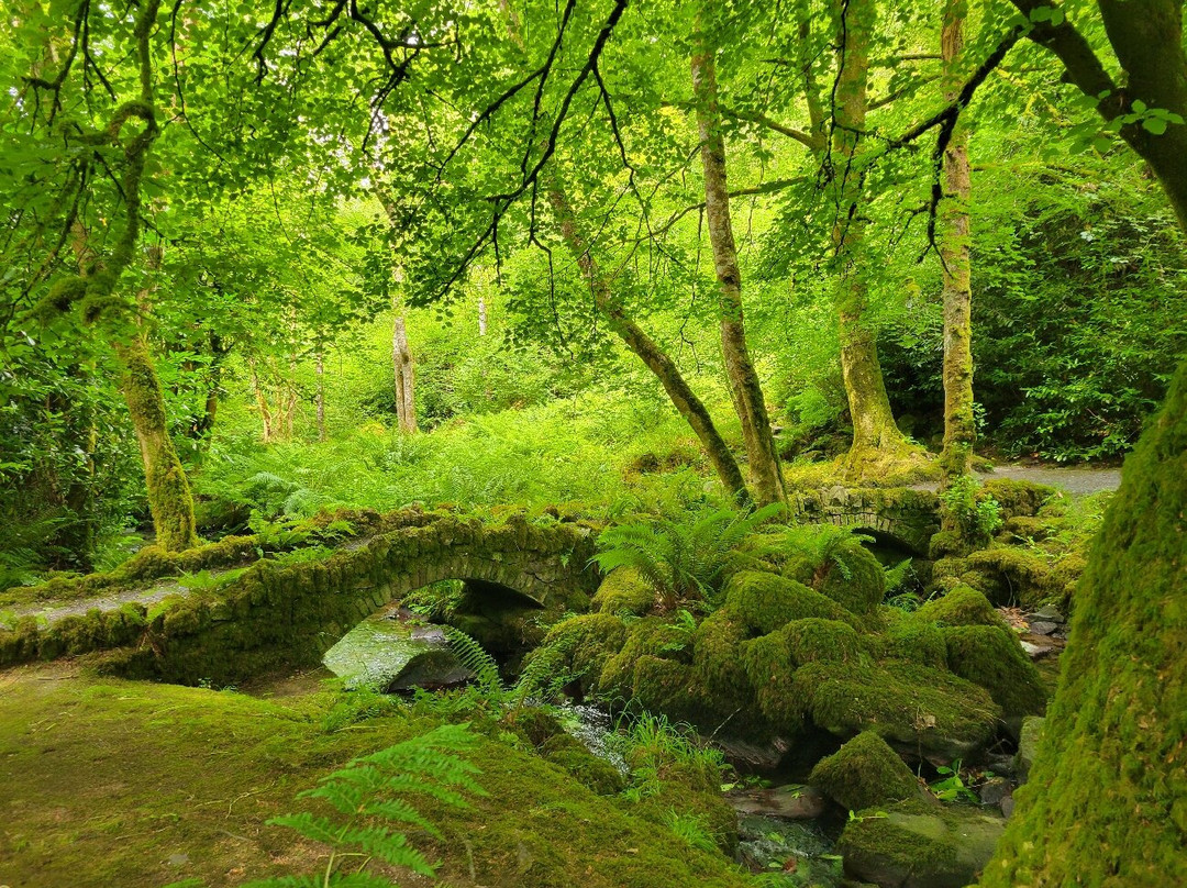 Kilfane Waterfall and Glen-Thomastown必去景点
