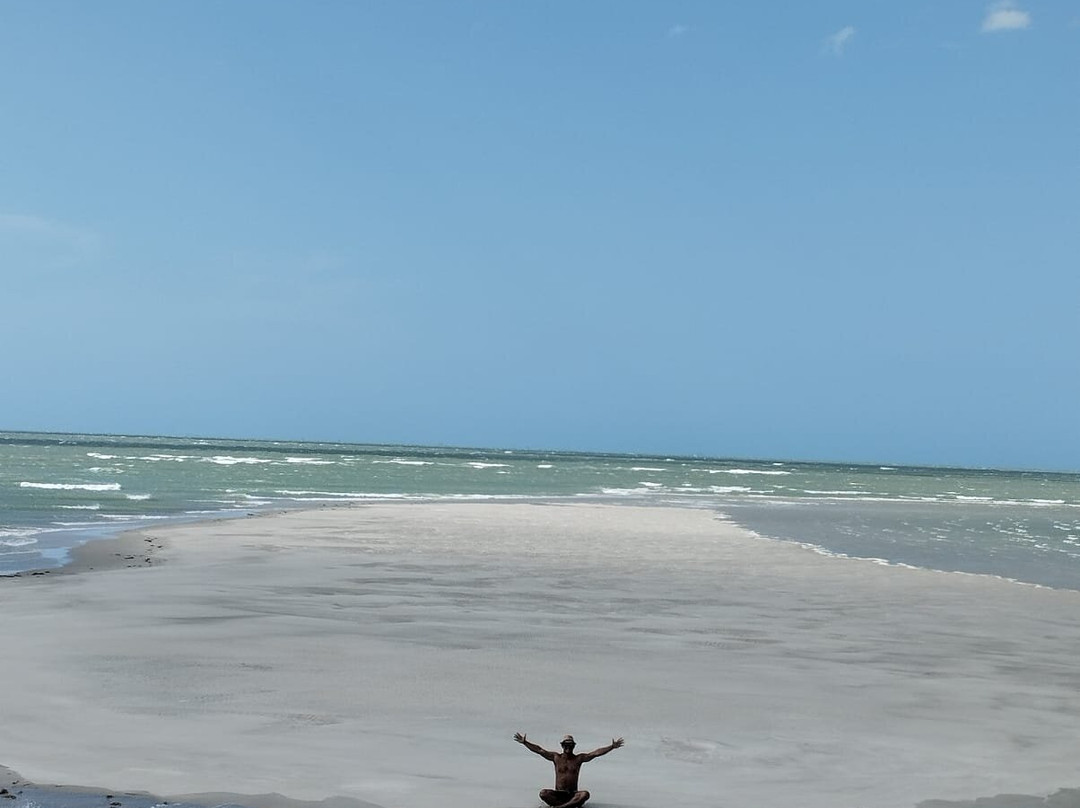 Guamaré Golfinho Tour景点图片