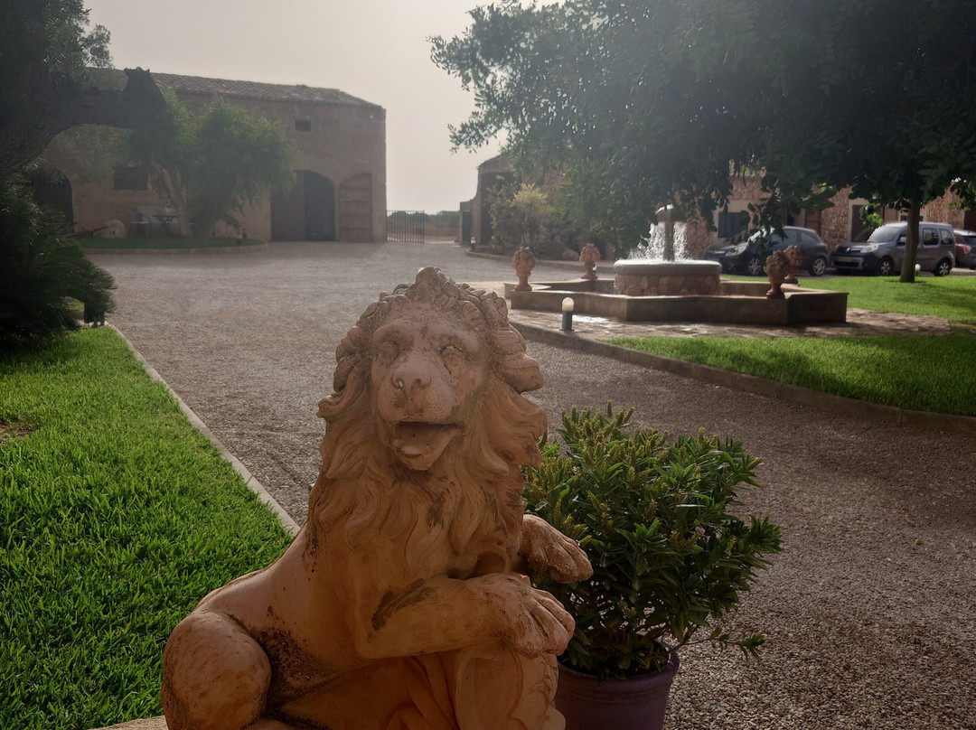 Agroturismo Puig de Ros d’Alt主图