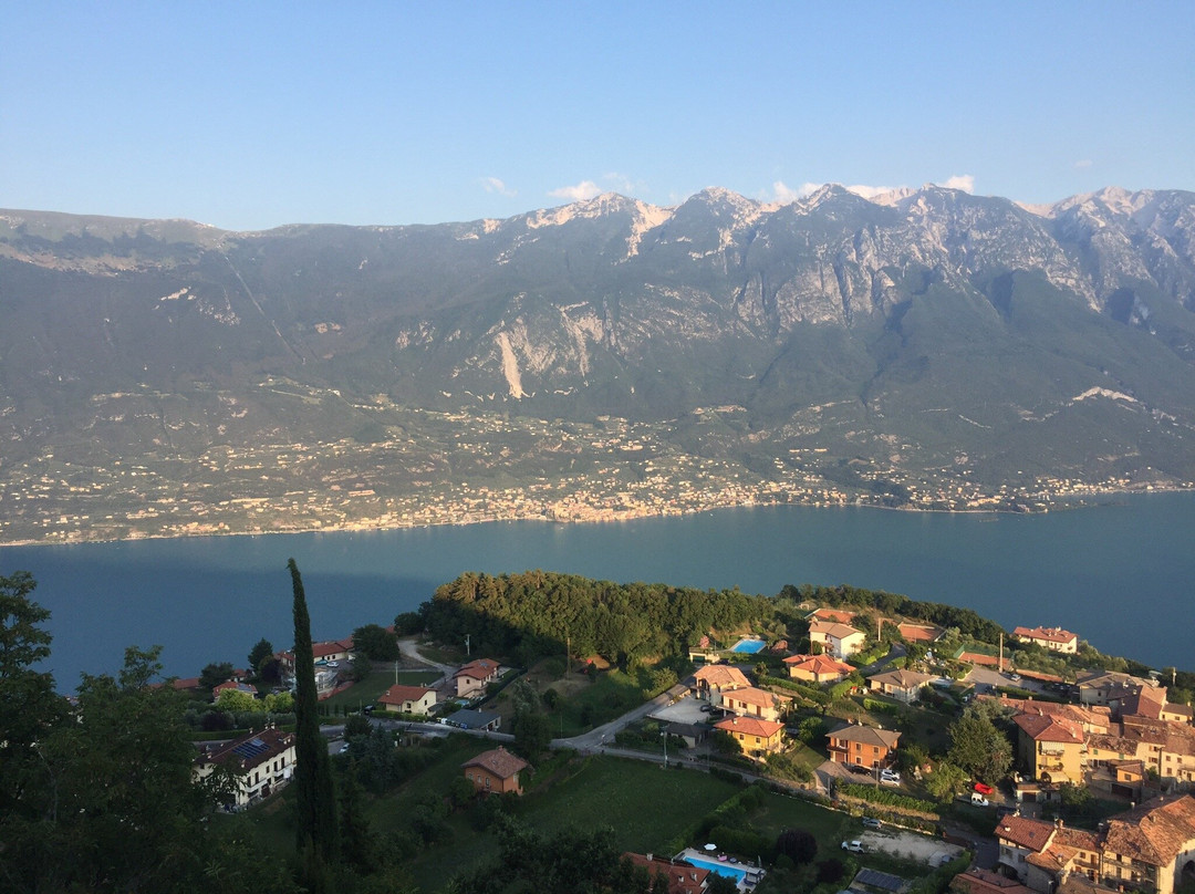 Hotel Pineta Campi主图