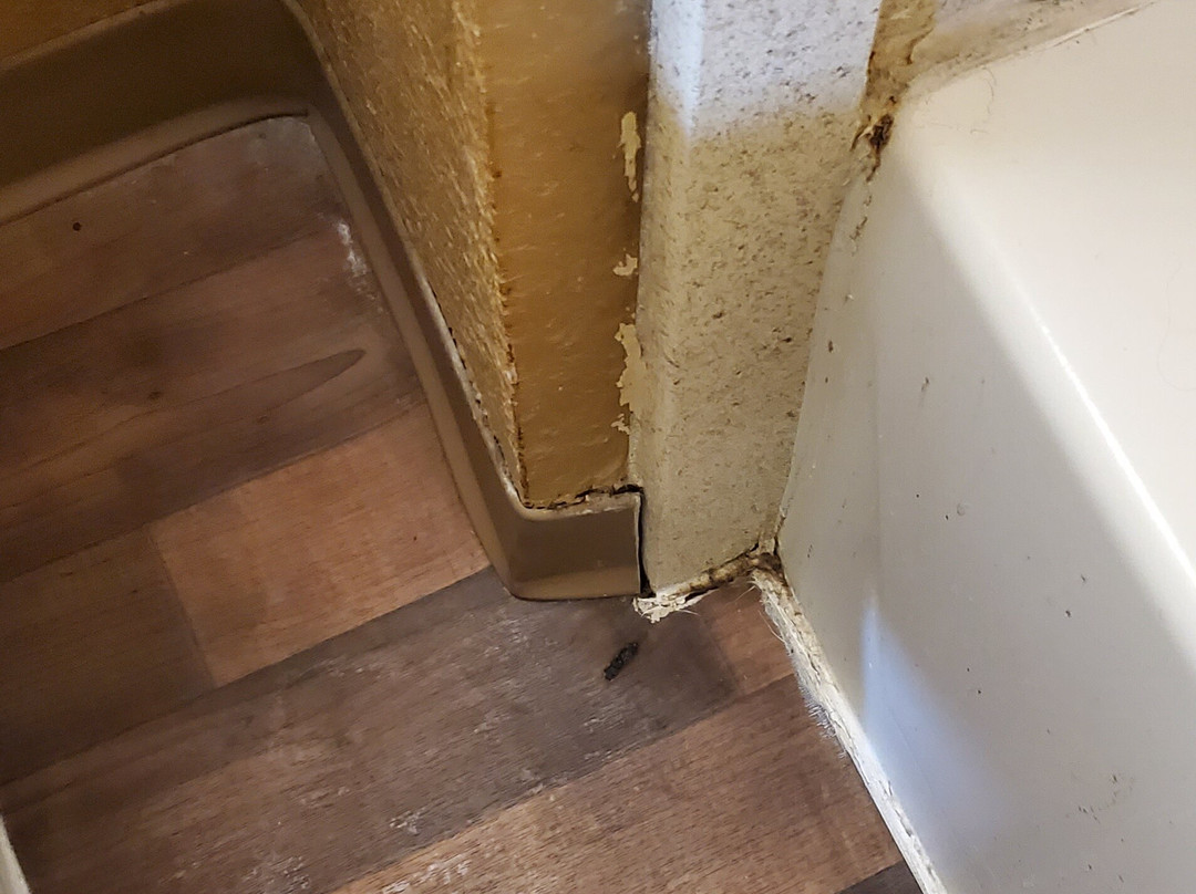 Extended Stay America Suites Newark Woodbridge主图