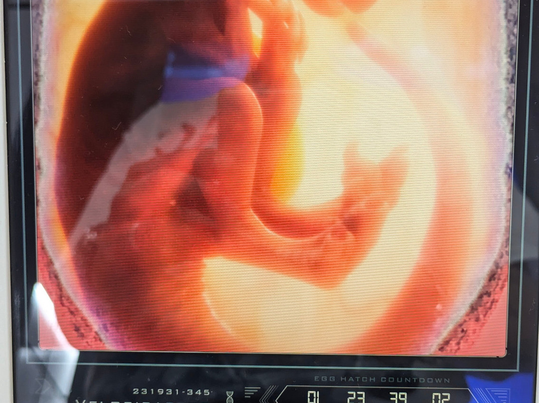 Jurassic World: The Exhibition-卡蒂必去景点