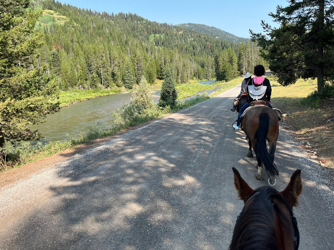 Jackson Hole Outfitters-Alpine必去景点