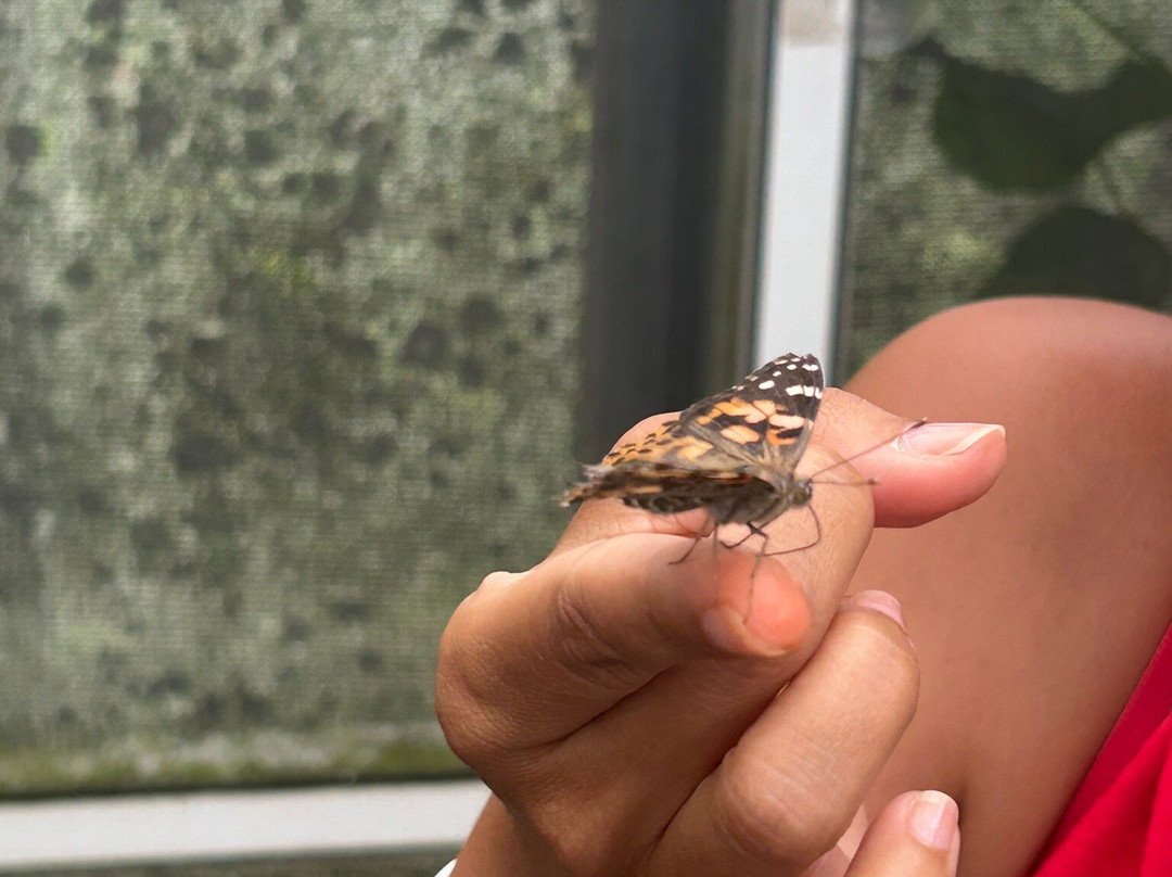 Lukas Nursery & Butterfly Encounter-Oviedo必去景点