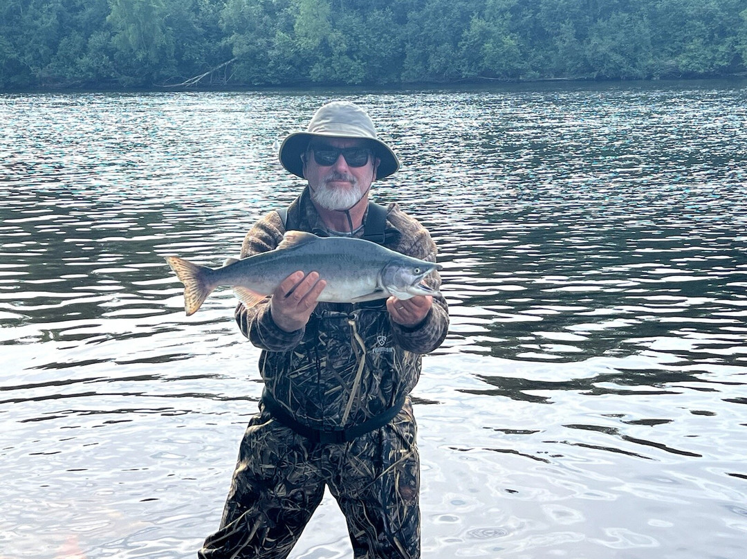 Deshka Landing Charters & Lodge主图