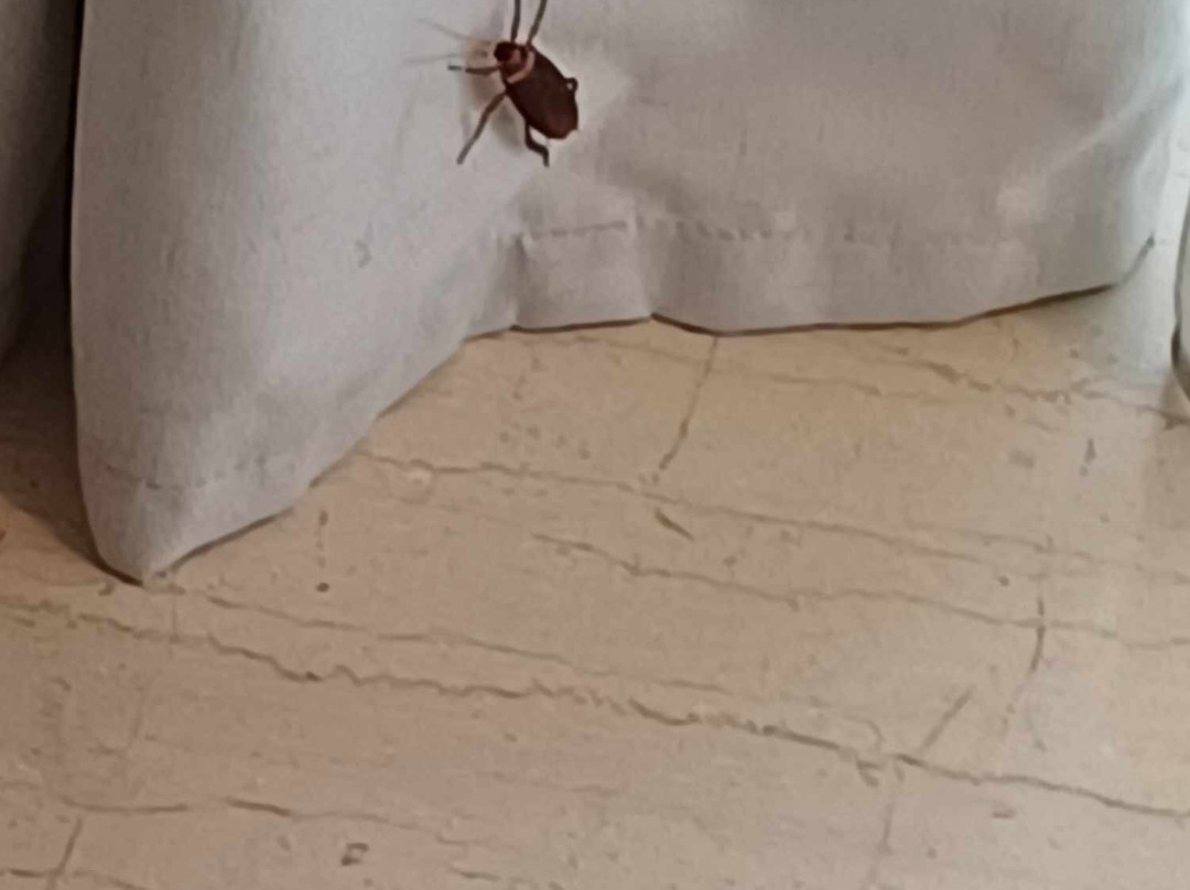 AKS Porto Heli主图