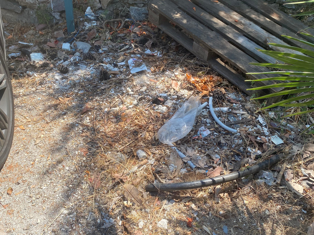 Hotel San Daniele主图