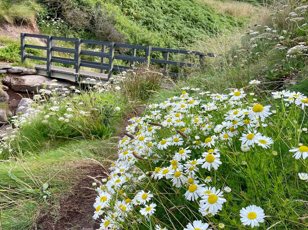 Dunmore East Coastal Walk-Dunmore必去景点