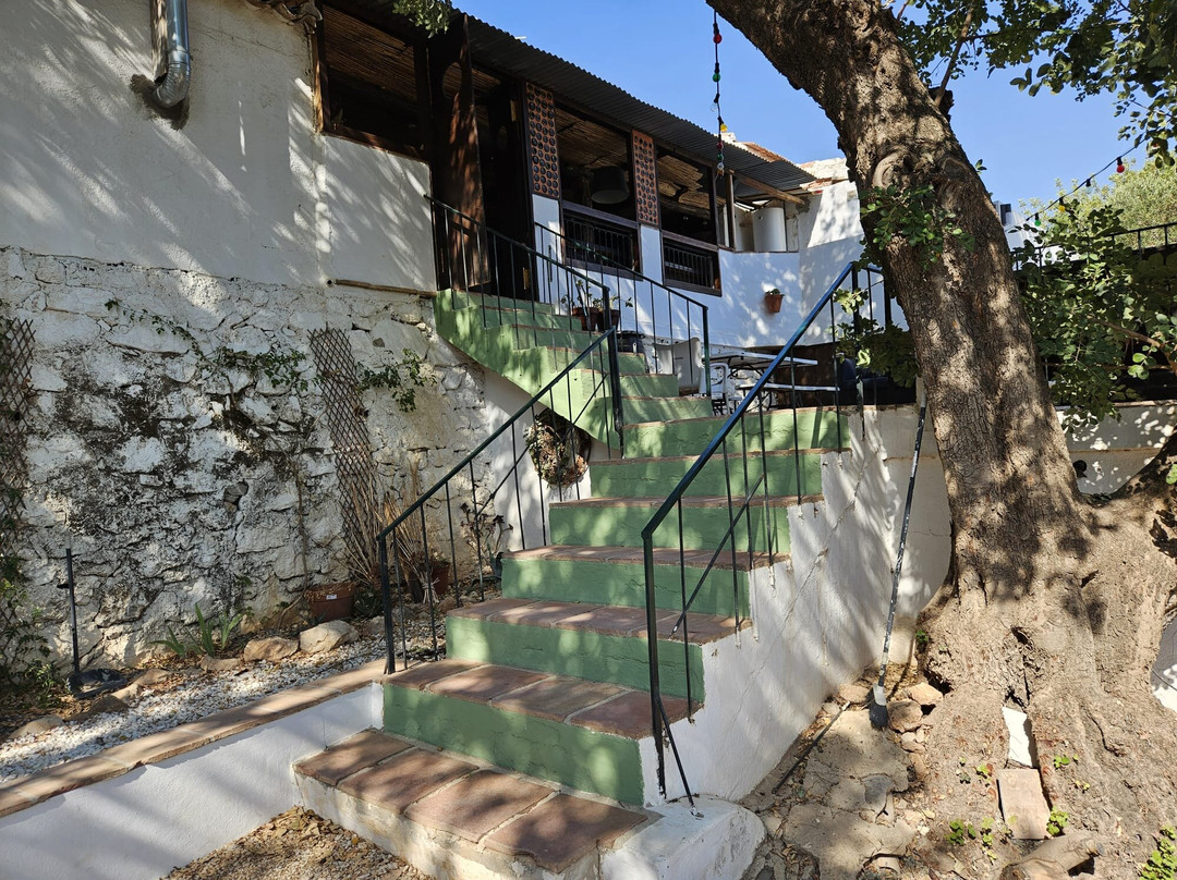 The Olive Branch El Chorro主图