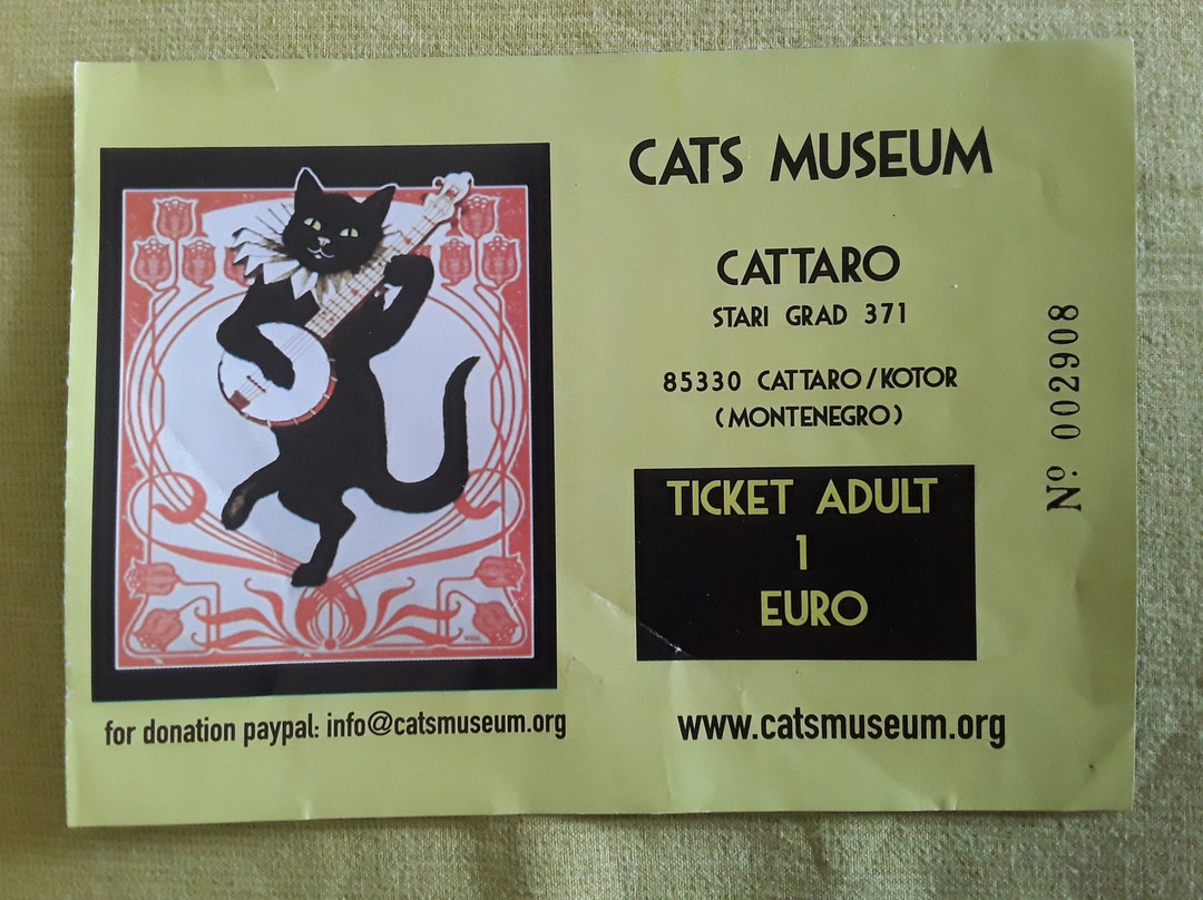 Cats Museum-科托尔必去景点