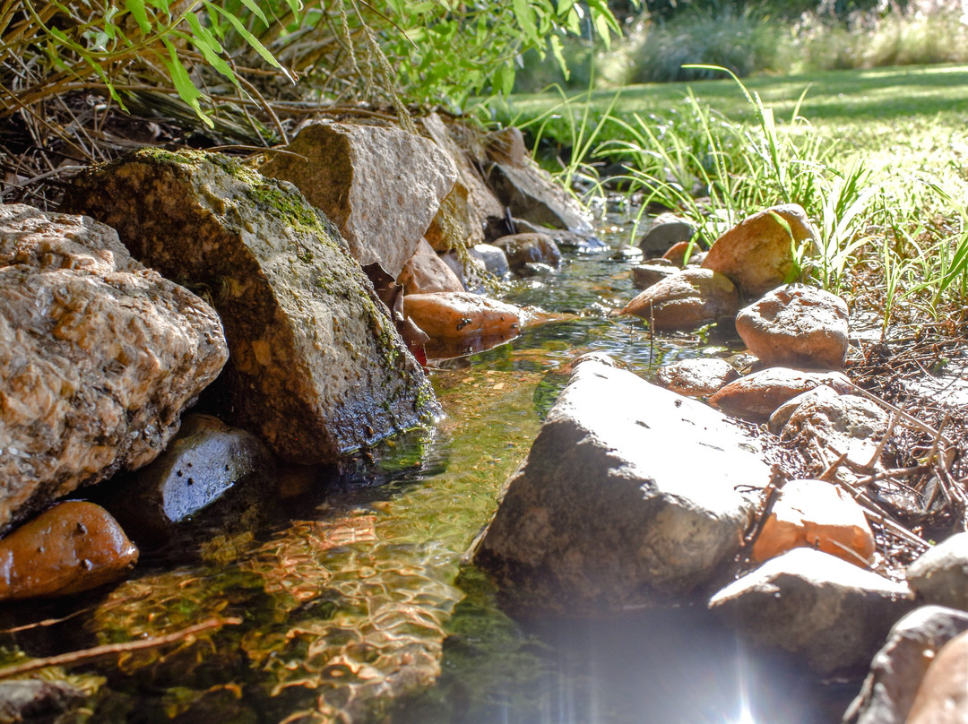 Sunbird Guest House主图