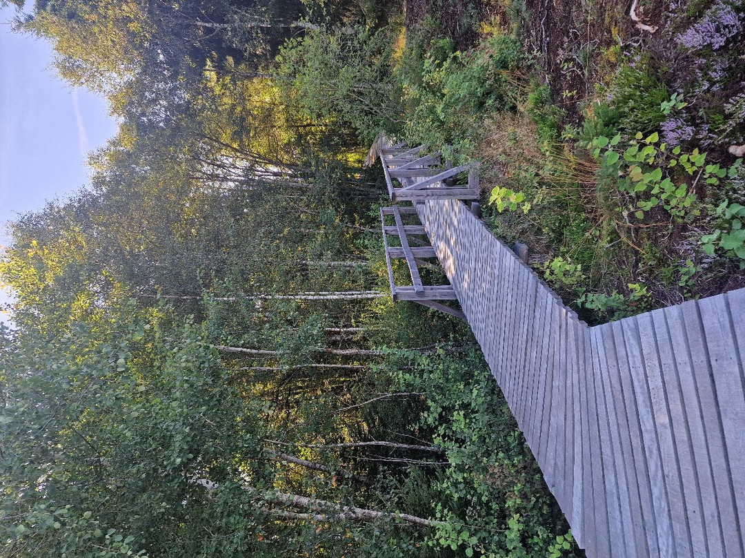 The educational Peat Route-Les Ponts-de-Martel必去景点