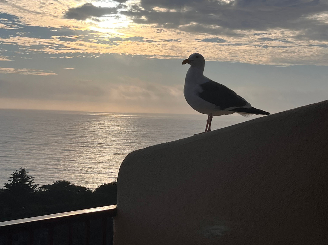 Tickle Pink Inn主图